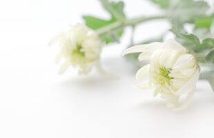 お葬式の豆知識